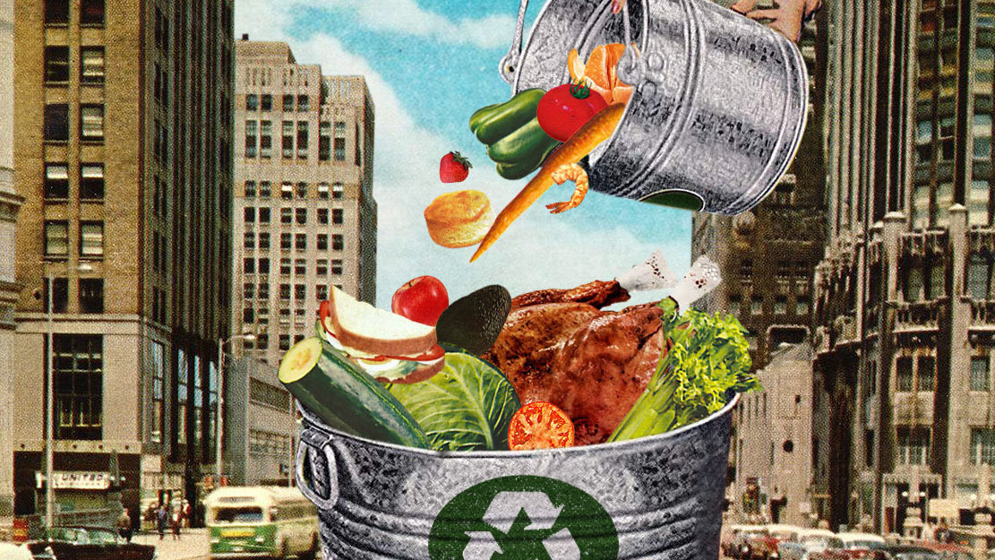Stop Scavengers Eating Your Fare NYT Reveals Smart Food Disposal Solutions