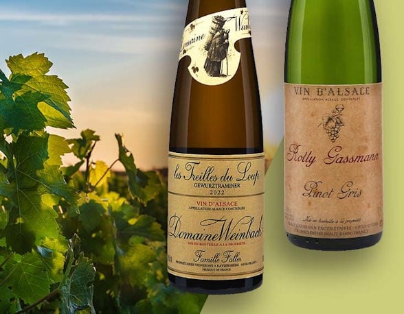 Buying Alsace white online? (Best places to get it cheap!)