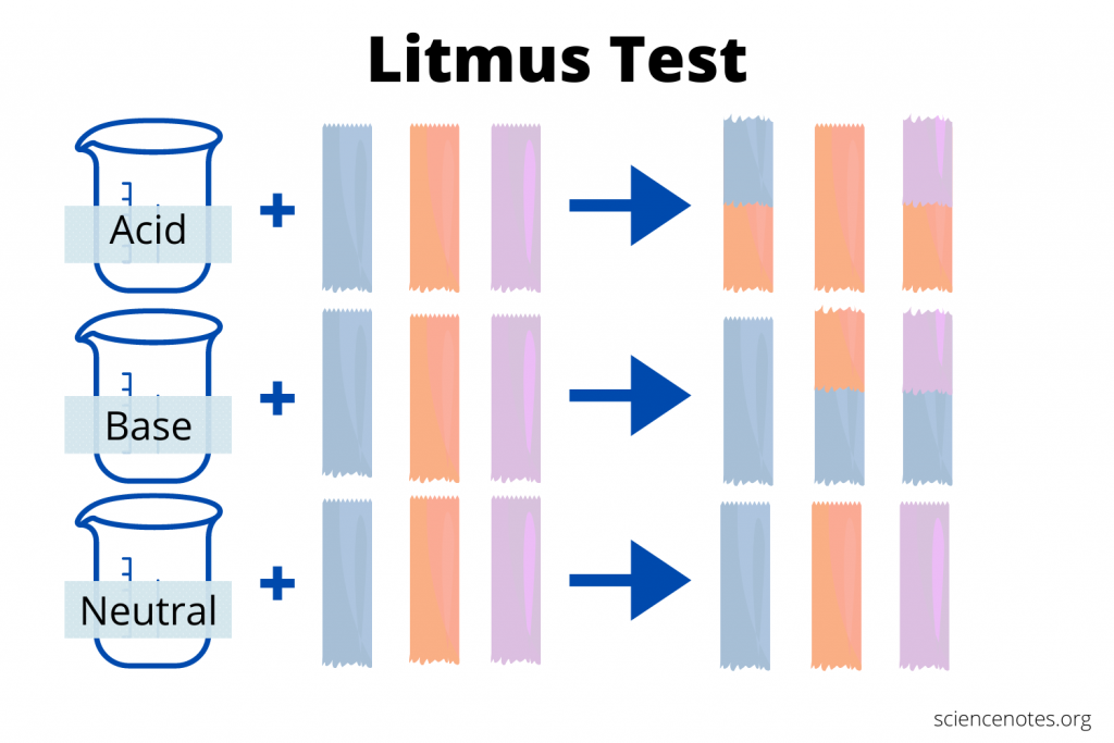 Litmus Test Psychology Meaning Made Clear with Practical Cases