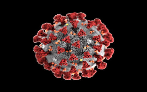 Best Seasonal Reason for Sneezin NYT Report: Top Prevention Tips