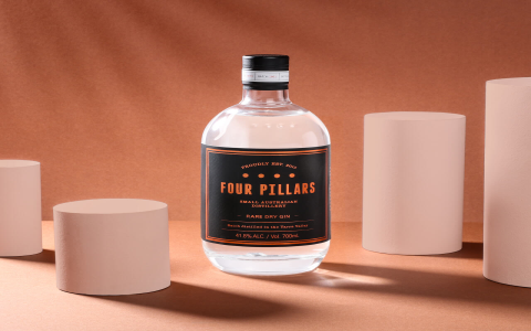 Which Gins Won BevTest Top Gins 2024? Experts Share Tasting Notes!