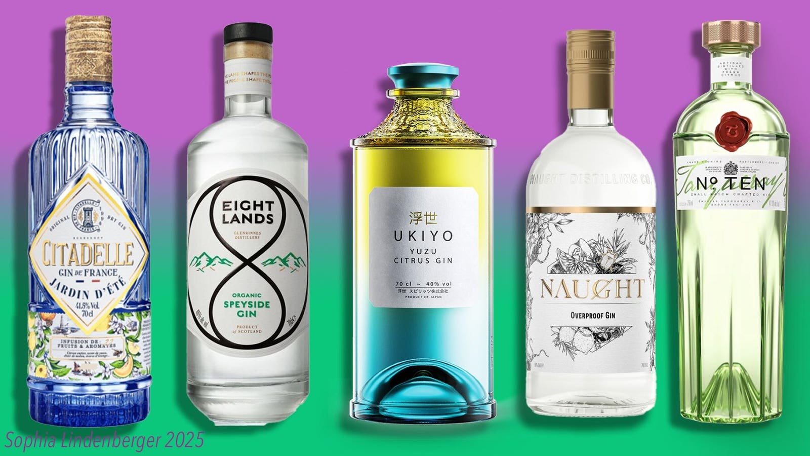 Which Gins Won BevTest Top Gins 2024? Experts Share Tasting Notes!